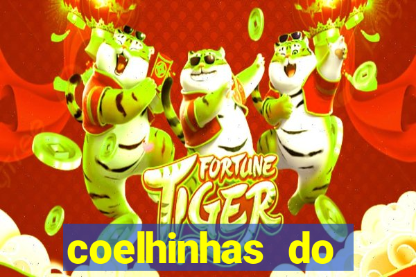 coelhinhas do brasil site